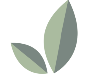 ecofurnituredesign